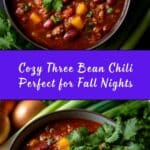 Three Bean Chili Recipe