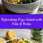Zippy Orzo Summer Salad Recipe