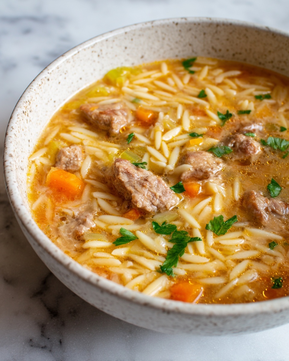 Marry Me Sausage Orzo Soup Recipe - Recipe Image