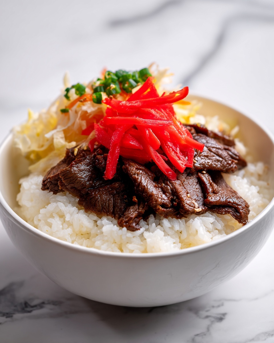 Gyudon Japanese Beef Bowls Recipe - Recipe Image