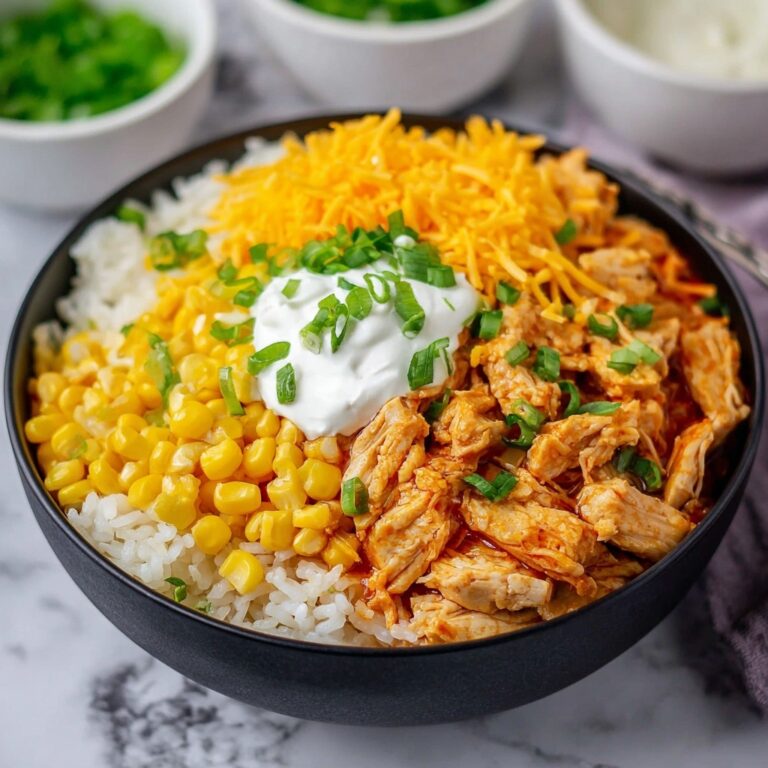Slow Cooker Fiesta Chicken and Rice Recipe