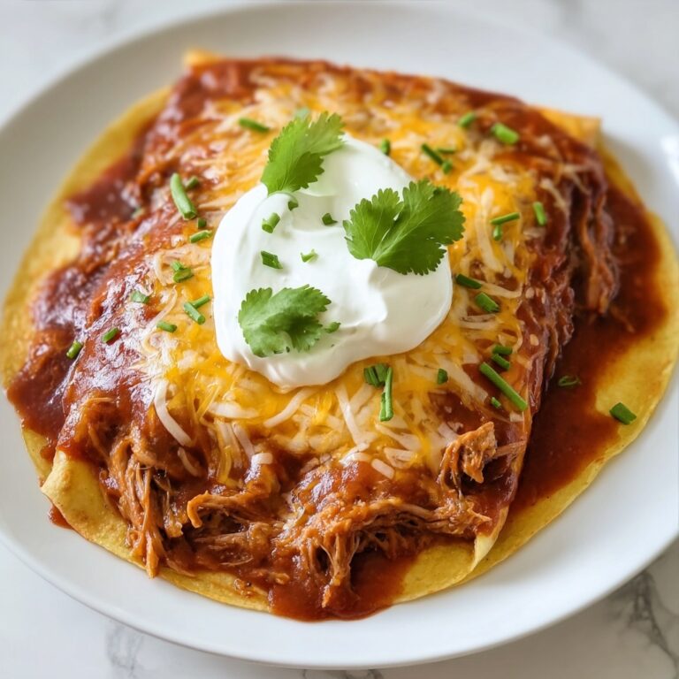 Chile Colorado Burritos Recipe