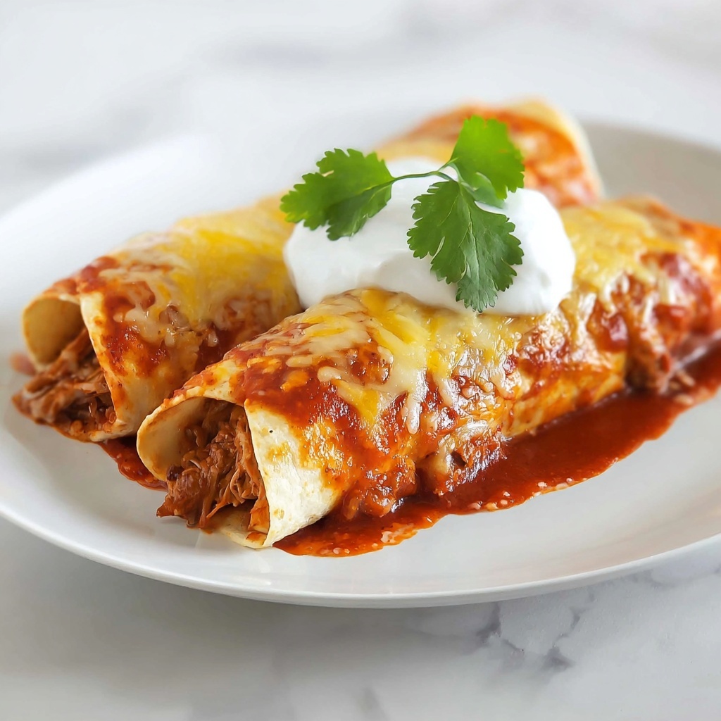 Chile Colorado Burritos Recipe - Recipe Image